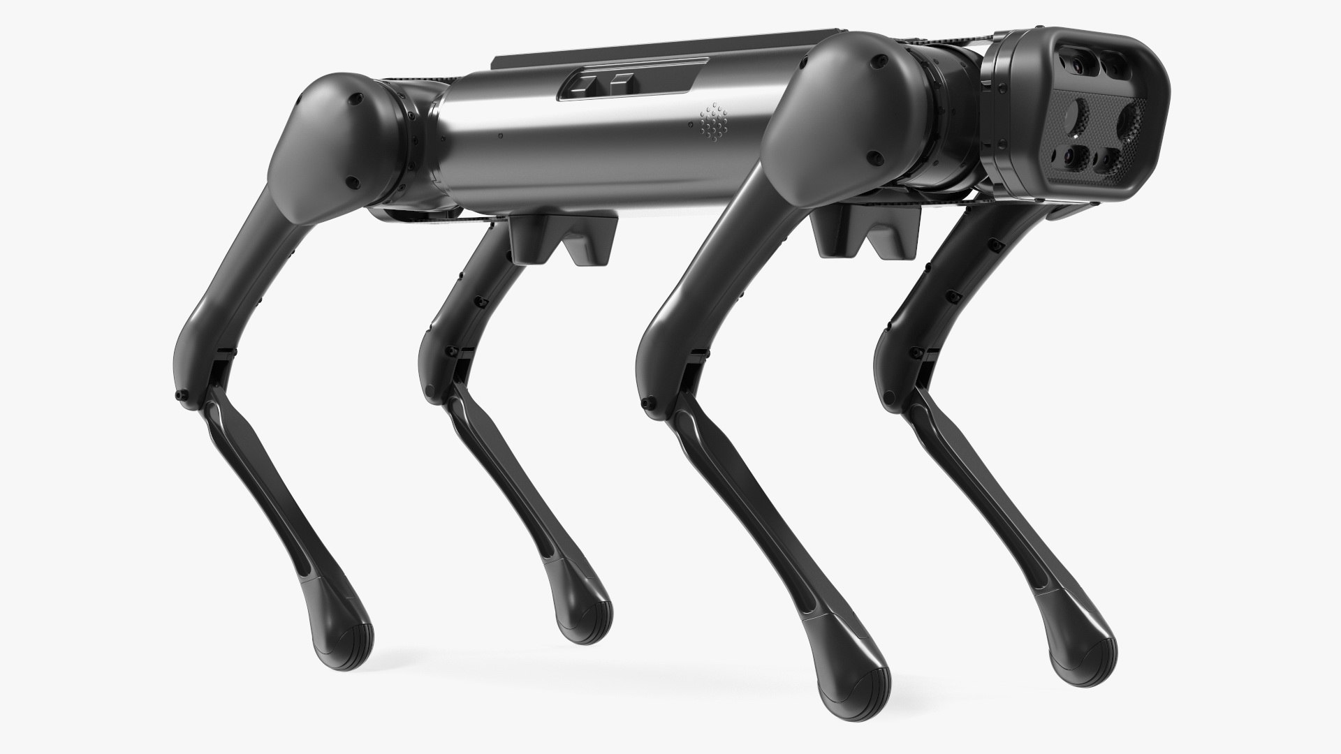 Robot Dog 3D https://p.turbosquid.com/ts-thumb/zB/uKc9IT/b7/robotdog3dsmodel012/jpg/1686076636/1920x1080/fit_q87/6f571a119fc03535d17faa0d82794f5fea36490a/robotdog3dsmodel012.jpg