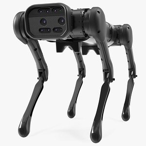 Robot Dog