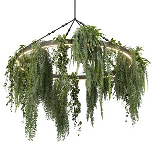 Collection plant vol 603 - Hanging - Pothos - Fern - Chandelier - Ampelous