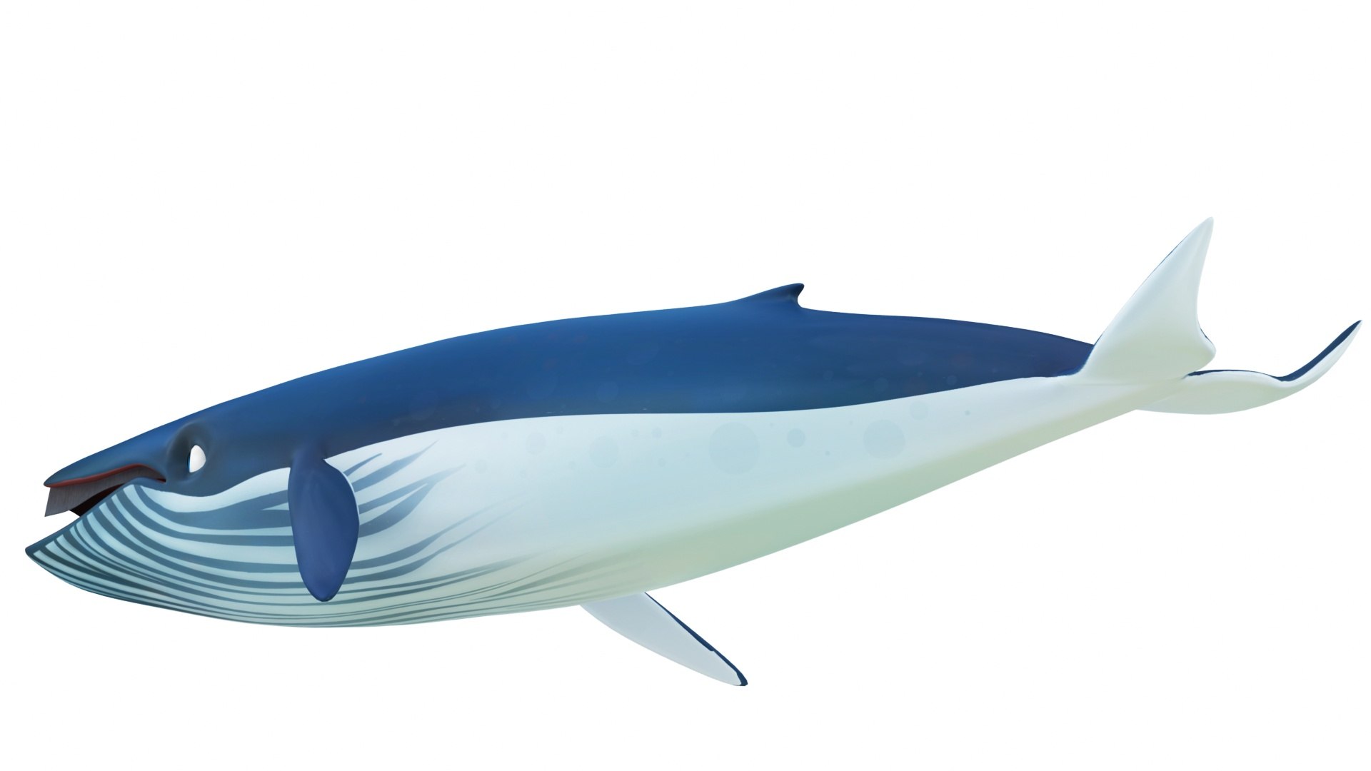 Cartoon Sperm Whale and Blue Whale Collection 3D model https://p.turbosquid.com/ts-thumb/zC/4vZwlh/5y/cartoonbluewhale4/jpg/1689865806/1920x1080/fit_q87/43517e3aaadb2aef6a2aa8ee241f8dda4432fadf/cartoonbluewhale4.jpg