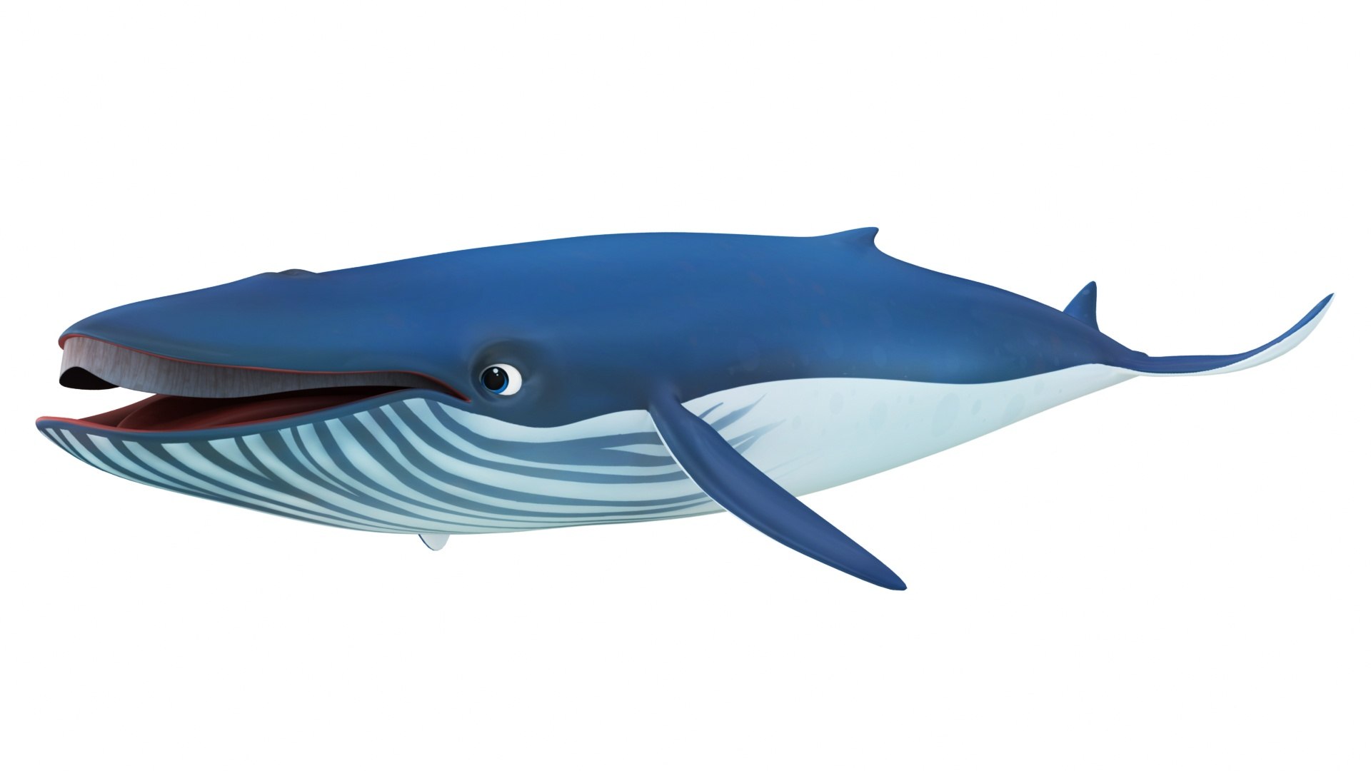 Cartoon Sperm Whale and Blue Whale Collection 3D model https://p.turbosquid.com/ts-thumb/zC/4vZwlh/Cd/cartoonbluewhale2/jpg/1689865805/1920x1080/fit_q87/36503d9ae2883bada32ffadf23a841c506fd0843/cartoonbluewhale2.jpg