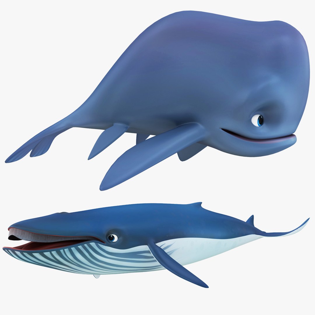 Cartoon Sperm Whale And Blue Whale Collection 3D Model - TurboSquid 2099260, image size:1080x1080