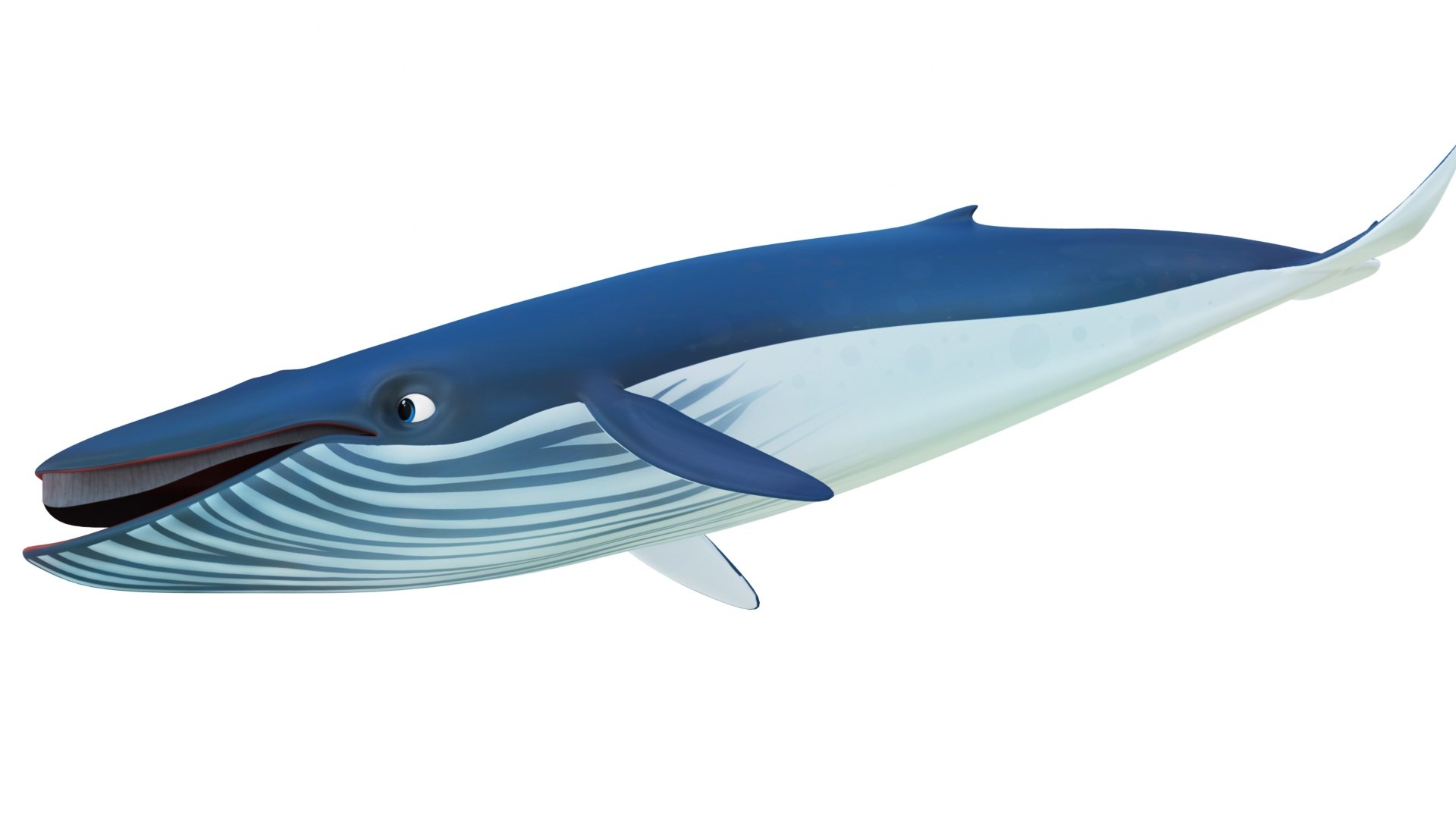 Cartoon Sperm Whale and Blue Whale Collection 3D model https://p.turbosquid.com/ts-thumb/zC/4vZwlh/at/cartoonbluewhale11/jpg/1689223698/1920x1080/fit_q87/3c35f2b1a8973457b06032db9fd6e611fc296820/cartoonbluewhale11.jpg