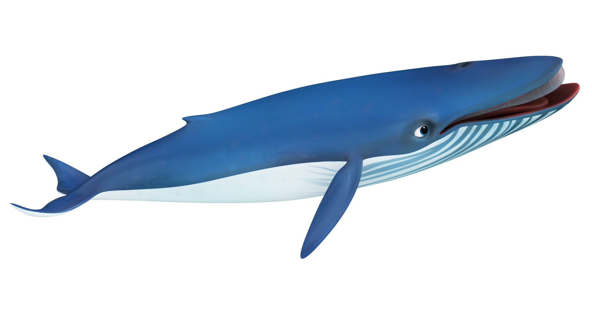Cartoon Sperm Whale and Blue Whale Collection 3D model https://p.turbosquid.com/ts-thumb/zC/4vZwlh/jS/cartoonbluewhale10/jpg/1689223698/1920x1080/fit_q87/8bcc9f4e3c1d3b5055ecb030ad1907d308a8b6b2/cartoonbluewhale10.jpg