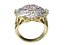 ring 44