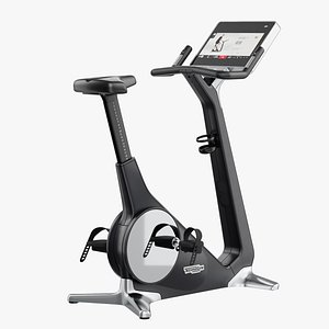 3D model Technogym Bike Personal