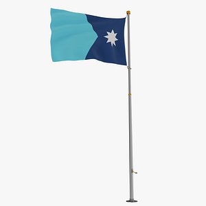 Pole Flag Minnesota model