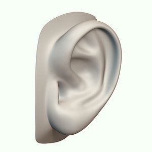 3d obj ear