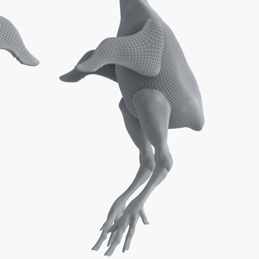 3D raw chicken https://p.turbosquid.com/ts-thumb/zC/XwbZlJ/7aIVHnxh/chickenrawwhole20/jpg/1579093115/1920x1080/fit_q87/01c92648b88decd8be58b39bf798b868009c87fb/chickenrawwhole20.jpg