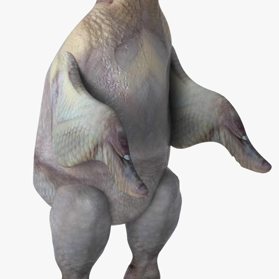 3D raw chicken https://p.turbosquid.com/ts-thumb/zC/XwbZlJ/9jqC0yOR/chickenrawwhole15/jpg/1579093115/1920x1080/fit_q87/e3716615c4f37509834094bd0d784c031de6afd3/chickenrawwhole15.jpg