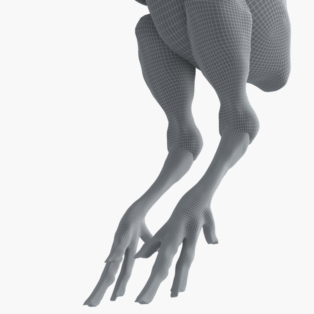 3D raw chicken https://p.turbosquid.com/ts-thumb/zC/XwbZlJ/AIywBOKD/chickenrawwhole24/jpg/1579093115/1920x1080/fit_q87/9cf6cb84f6f288353c1d13d12072f5ab1eb1908a/chickenrawwhole24.jpg