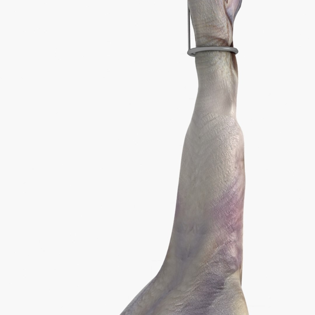 3D raw chicken https://p.turbosquid.com/ts-thumb/zC/XwbZlJ/TG951VUp/chickenrawwhole12/jpg/1579093115/1920x1080/fit_q87/b346574cb1960b16cb06f68434258bba81d30232/chickenrawwhole12.jpg