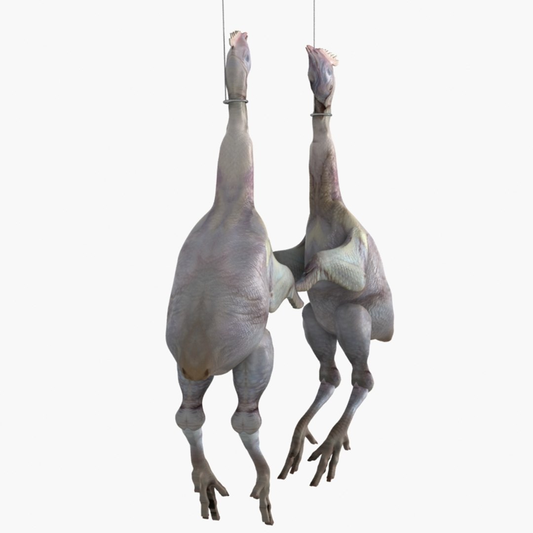 3D raw chicken https://p.turbosquid.com/ts-thumb/zC/XwbZlJ/UAqhCIiM/chickenrawwhole4/jpg/1579093114/1920x1080/fit_q87/aff35c9a99d7ff90b3f425557b4c53ebbb2416b8/chickenrawwhole4.jpg
