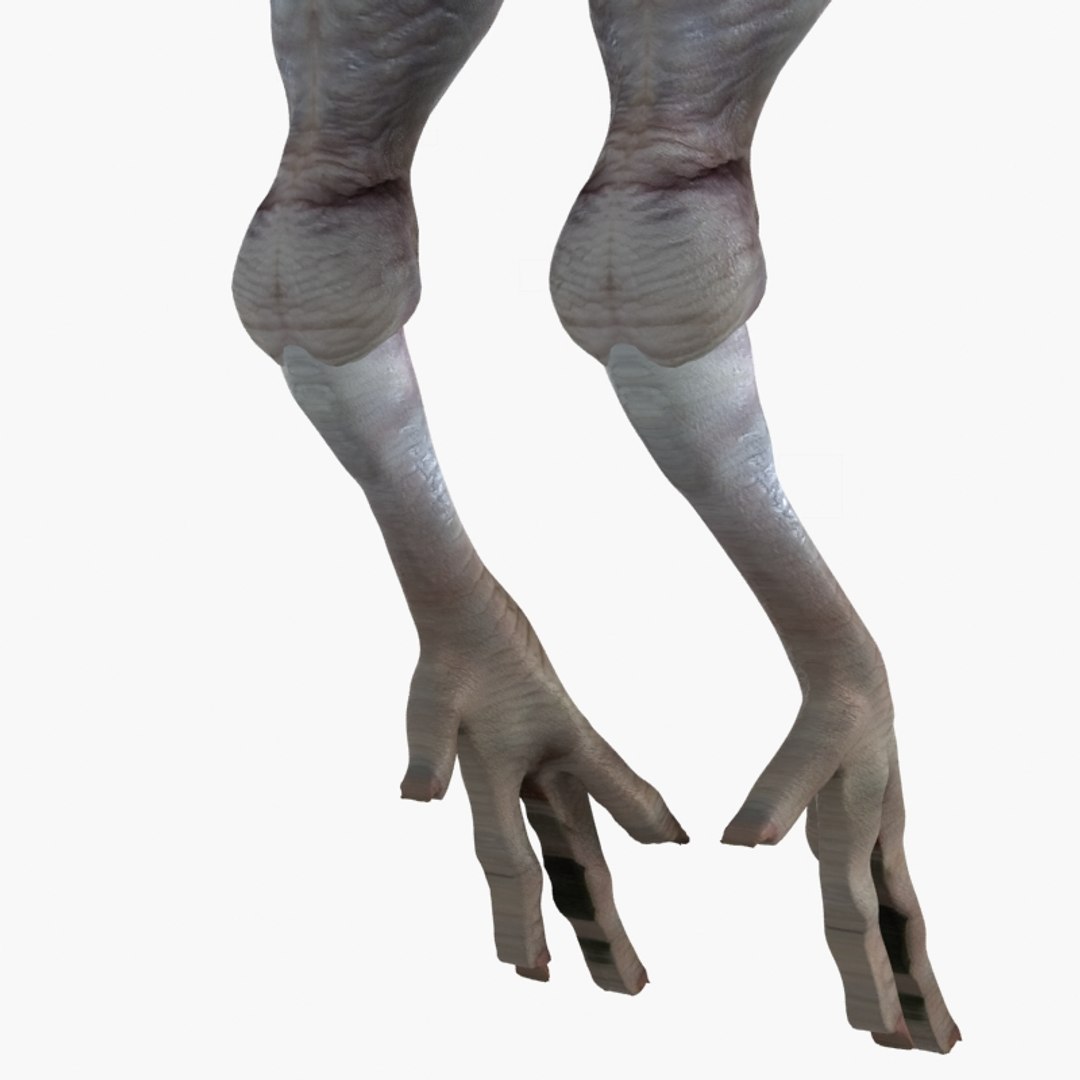 3D raw chicken https://p.turbosquid.com/ts-thumb/zC/XwbZlJ/VJFWcPuW/chickenrawwhole14/jpg/1579093115/1920x1080/fit_q87/444fae58c1173c88773692549cca0c1eebcb5ce3/chickenrawwhole14.jpg