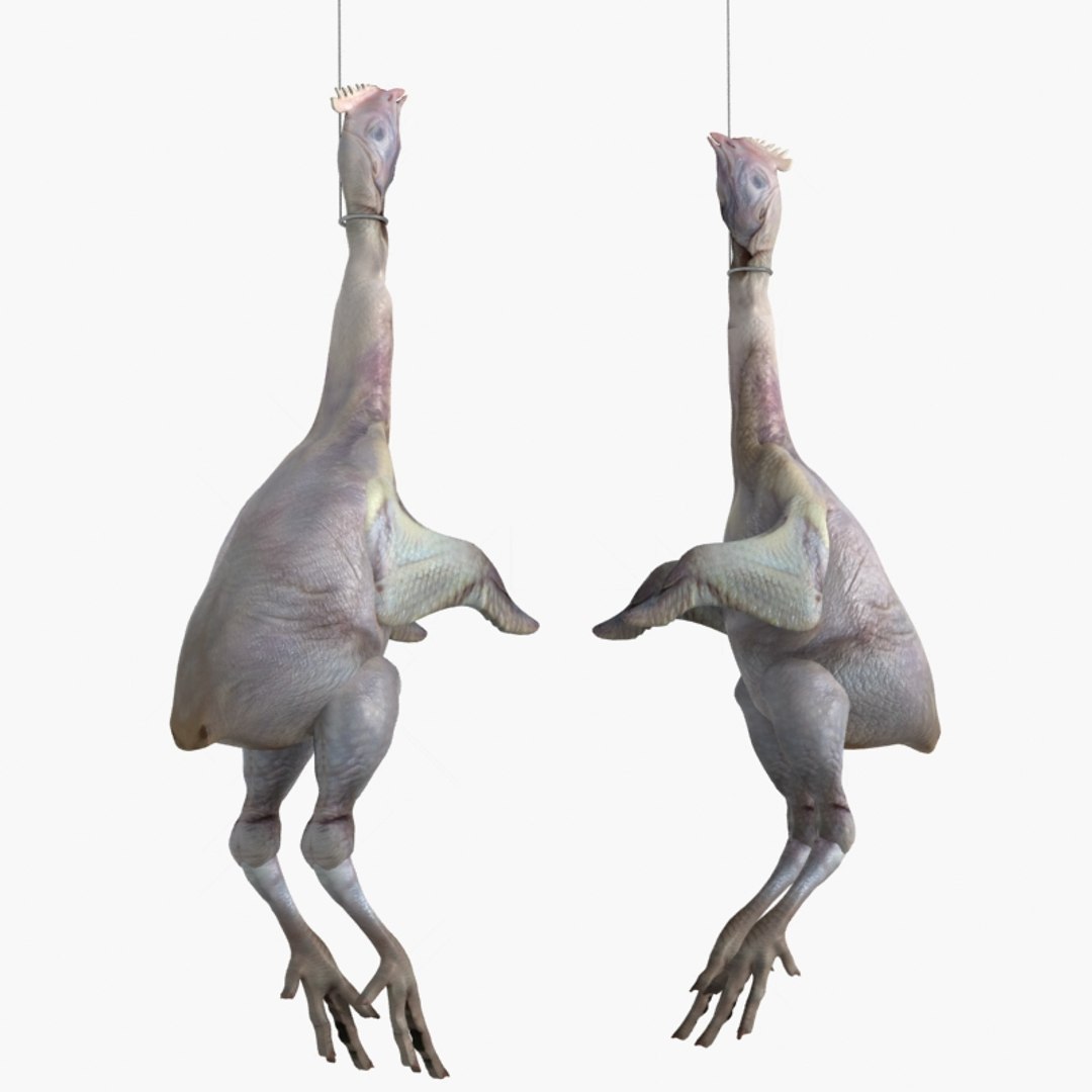 3D raw chicken https://p.turbosquid.com/ts-thumb/zC/XwbZlJ/e2AAT5Zj/chickenrawwhole3/jpg/1579093114/1920x1080/fit_q87/0c638171da3762000c5eab2d8edceeb25a7084d0/chickenrawwhole3.jpg