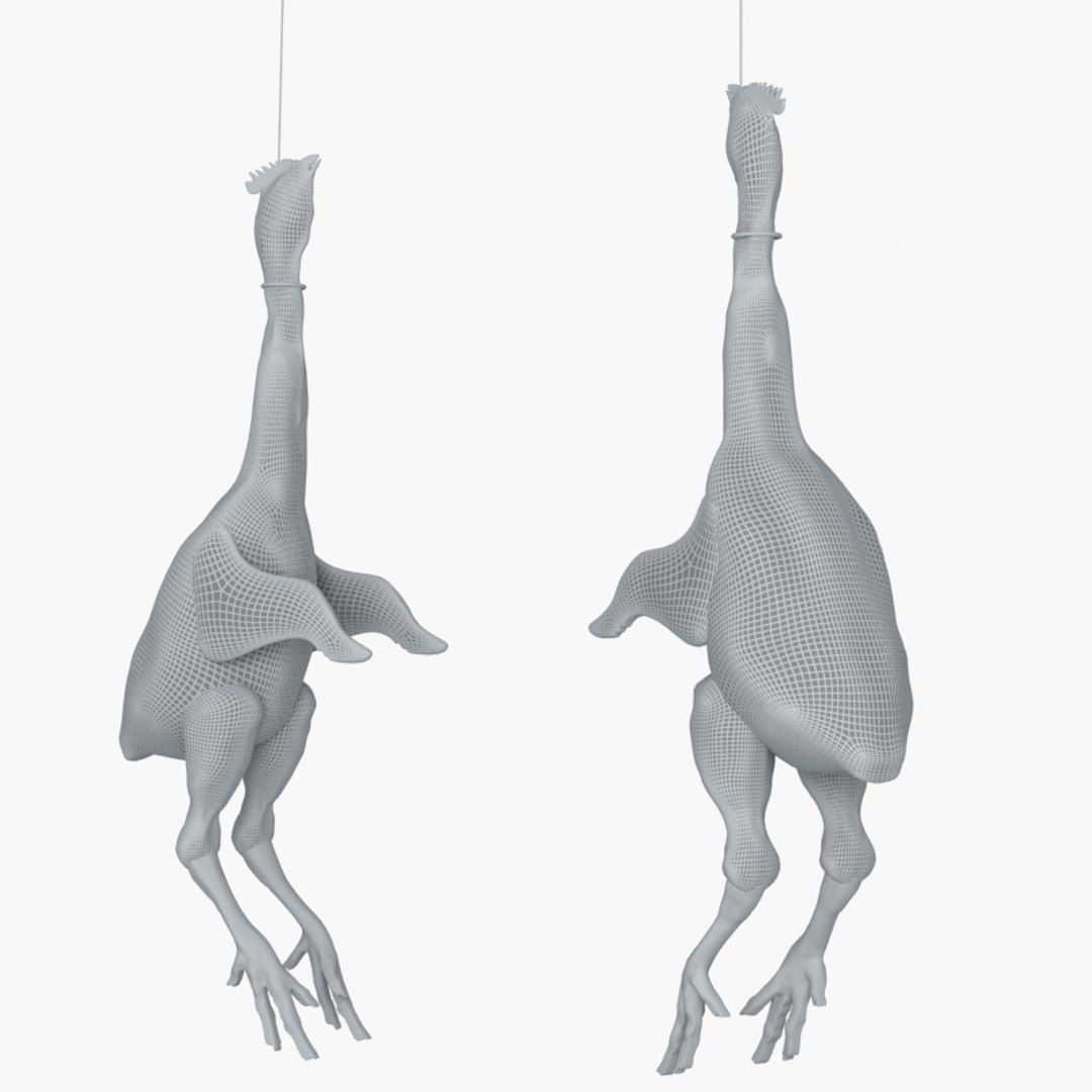3D raw chicken https://p.turbosquid.com/ts-thumb/zC/XwbZlJ/zyvbEpRL/chickenrawwhole16/jpg/1579093115/1920x1080/fit_q87/85ecd22e0908204b84d562837aa180658de43e30/chickenrawwhole16.jpg