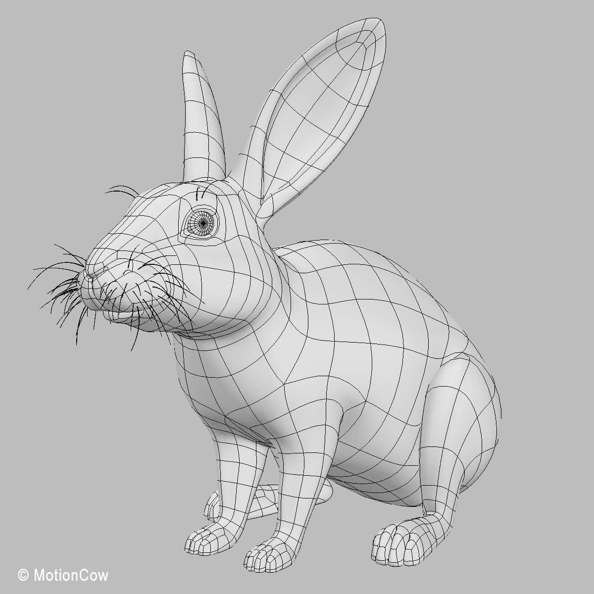 3d Realistic White Rabbit