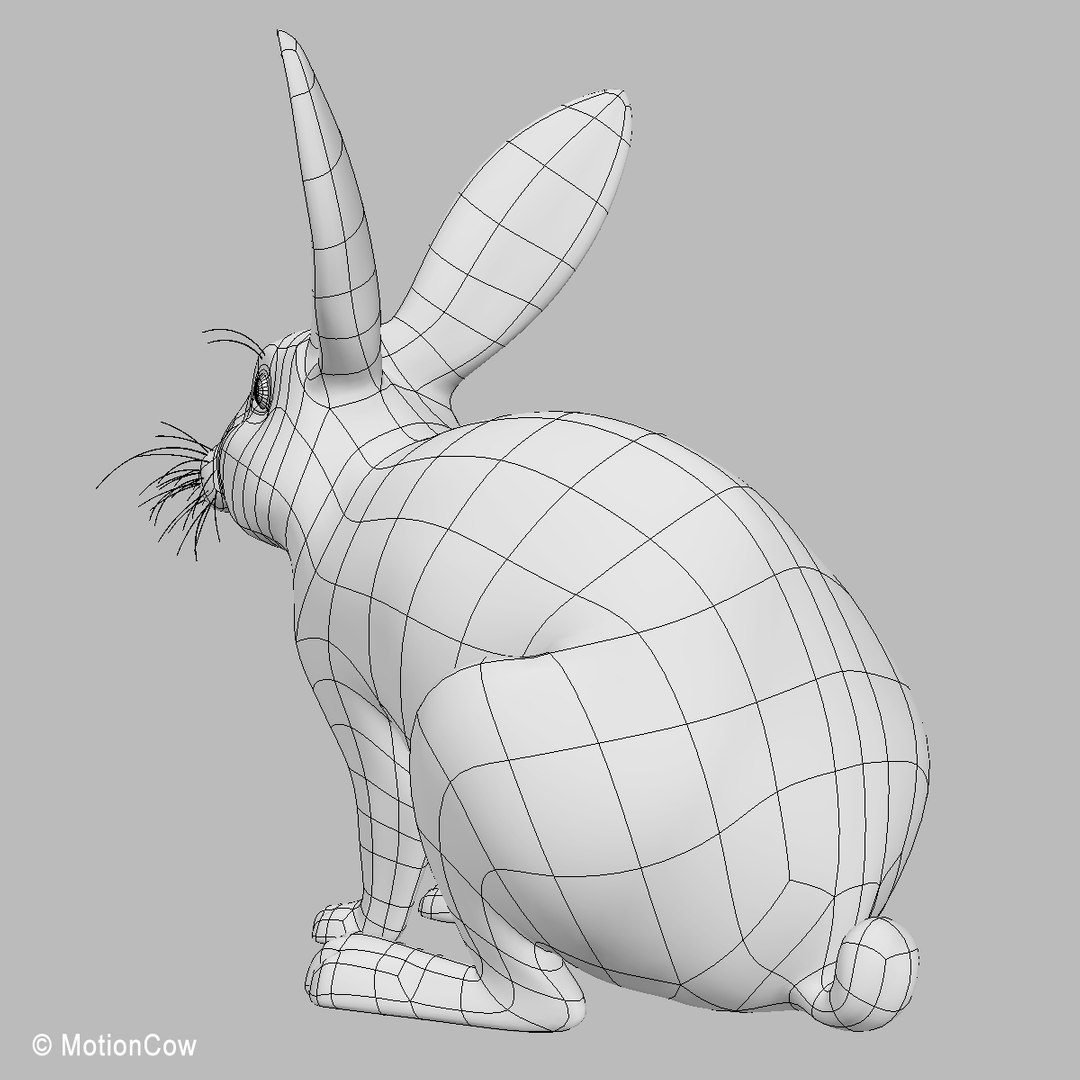 3d Realistic White Rabbit