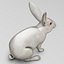 3d realistic white rabbit