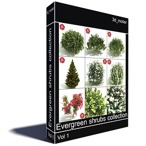 3d evergreen shrubs model