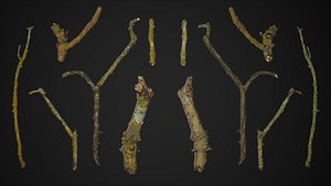Photoscanned Mossy Branches