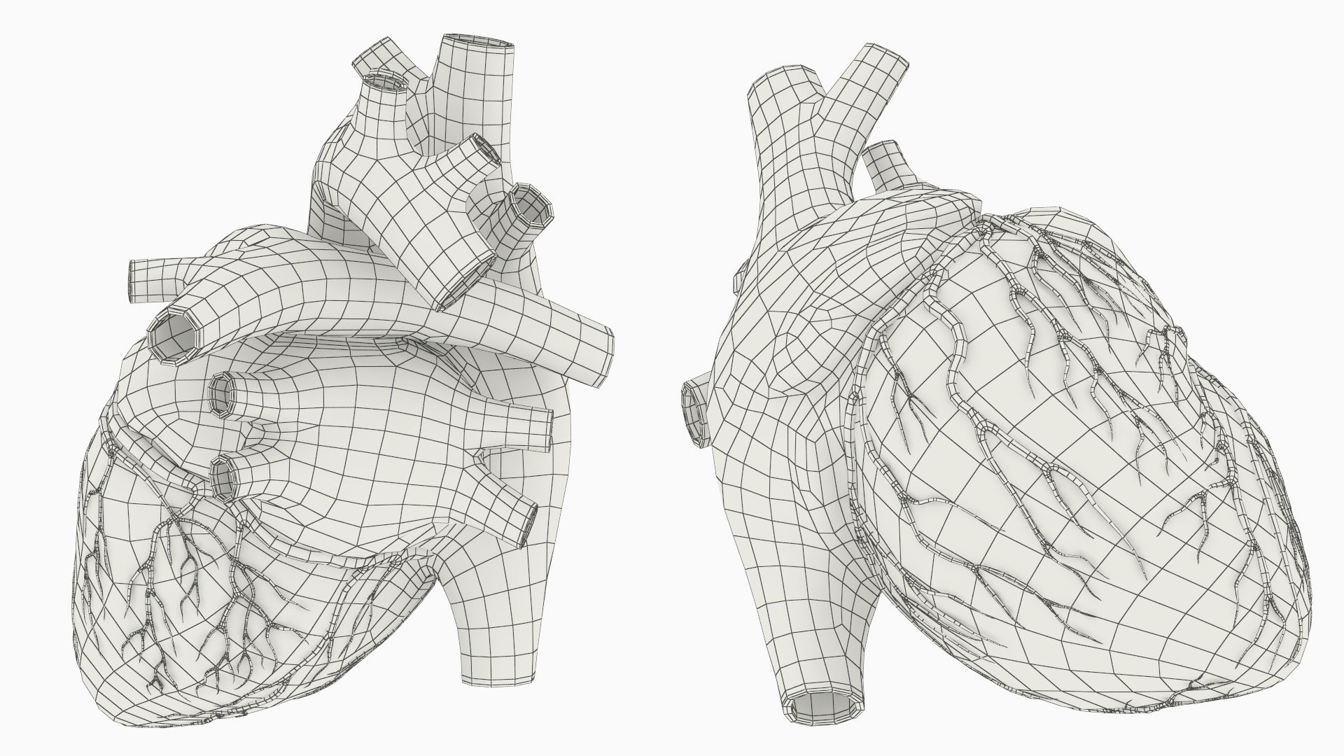 Realistic Human Heart Anatomy Red 3D Model - TurboSquid 2549035