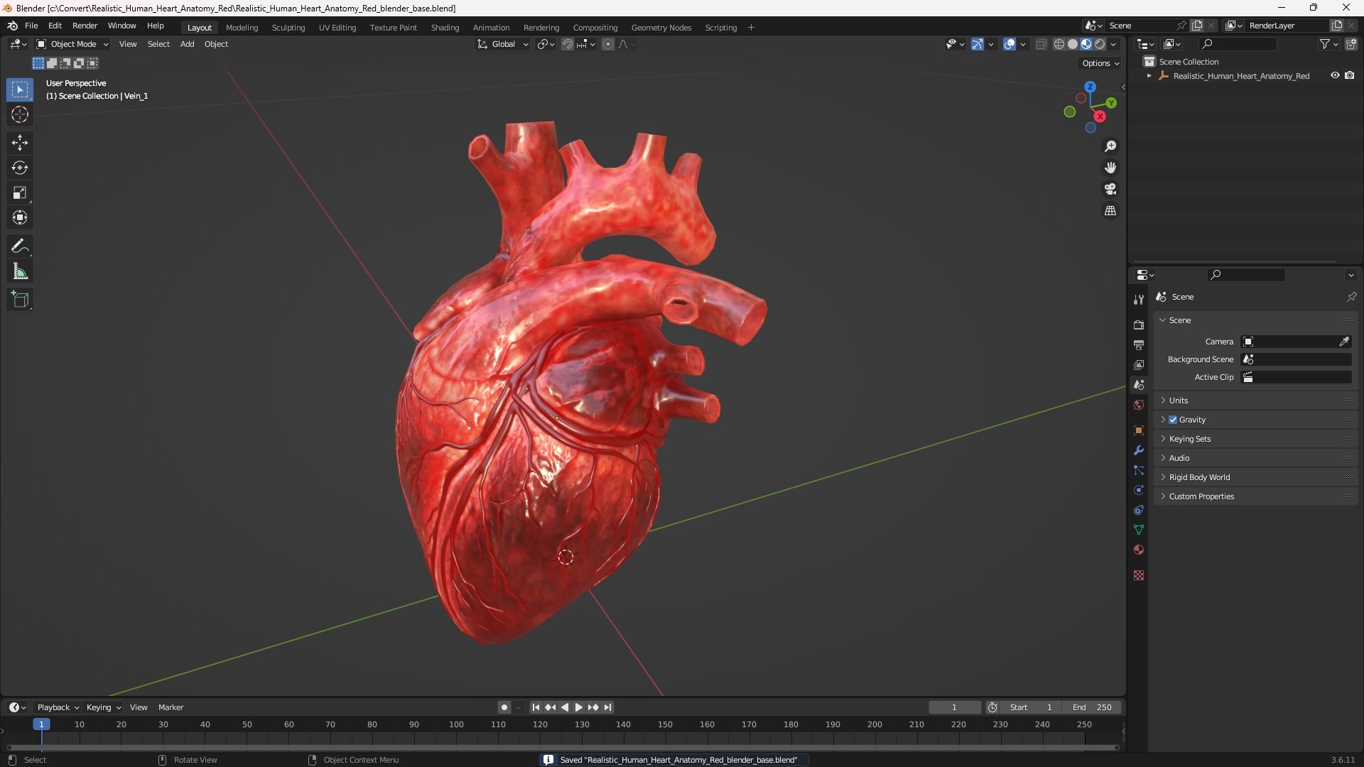 Realistic Human Heart Anatomy Red 3D Model - TurboSquid 2549035