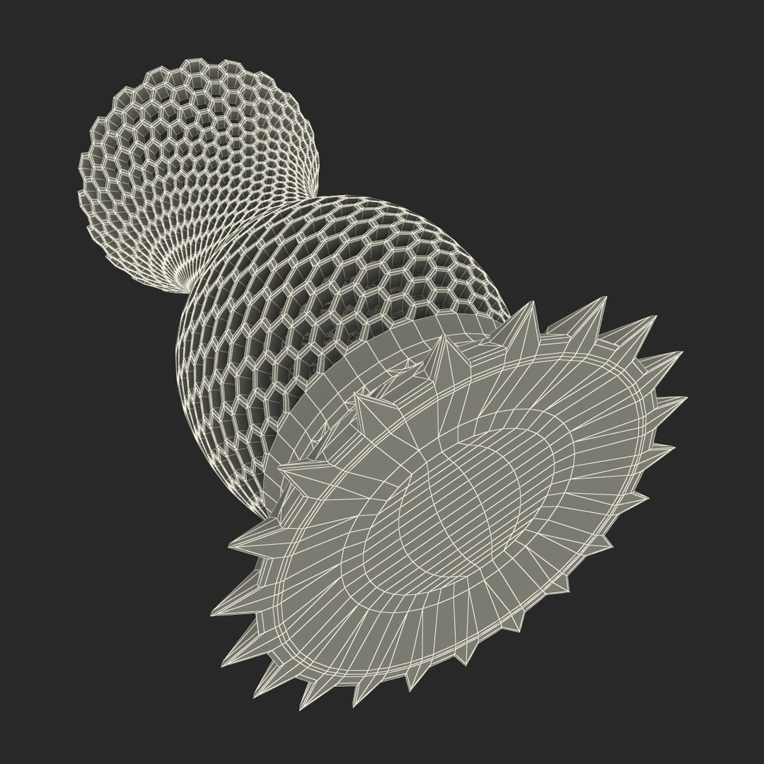 3d pattern vase https://p.turbosquid.com/ts-thumb/zD/1sLRCO/zNBM72sh/vase_g_003/jpg/1427987012/1920x1080/fit_q87/30e3fa41b1b719432a75bfc62766d2786dd4bd7d/vase_g_003.jpg