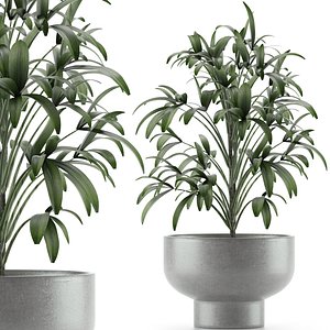 3D single plant 12