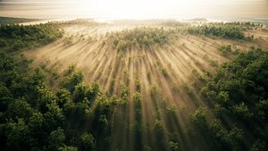 large panoramic view of tropical rain forests plains grasslands 3D model