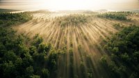 large panoramic view of tropical rain forests plains grasslands 3D model