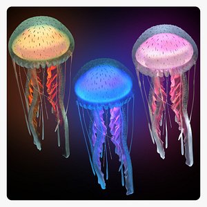 Bundle of Purple-striped jellyfish (Pelagia Noctiluca) - All 3 Color variants 3D model