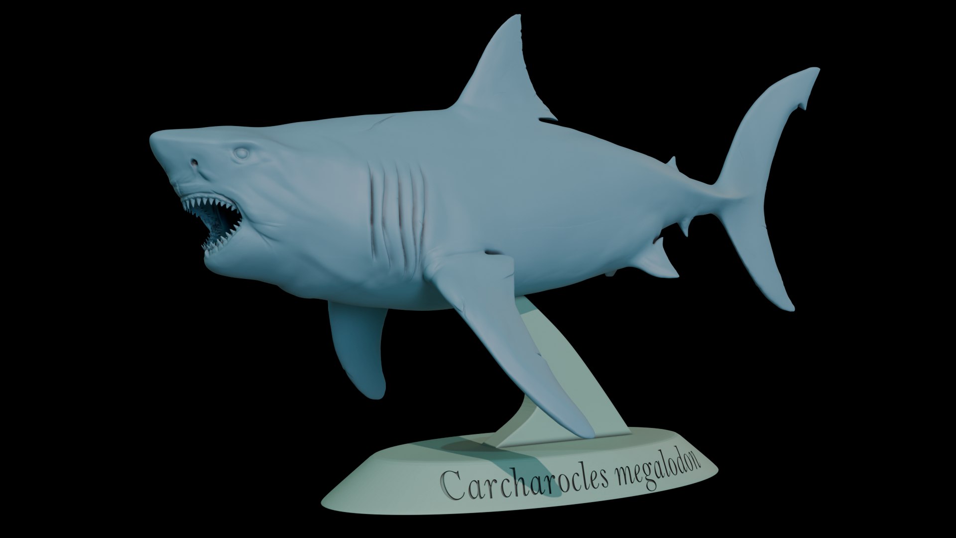 Megalodon 3D Print Model 3D Model - TurboSquid 2230155
