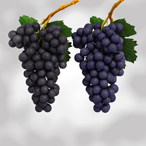 black blue grapes max