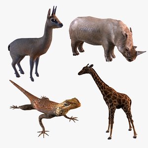 3D model African animals2