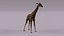 3D model African animals2