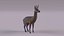 3D model African animals2