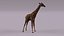 3D model African animals2