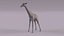 3D model African animals2