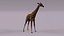 3D model African animals2