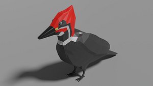 animal bird nature 3D model