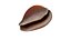 Golden Cowrie Shell