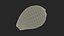 Golden Cowrie Shell