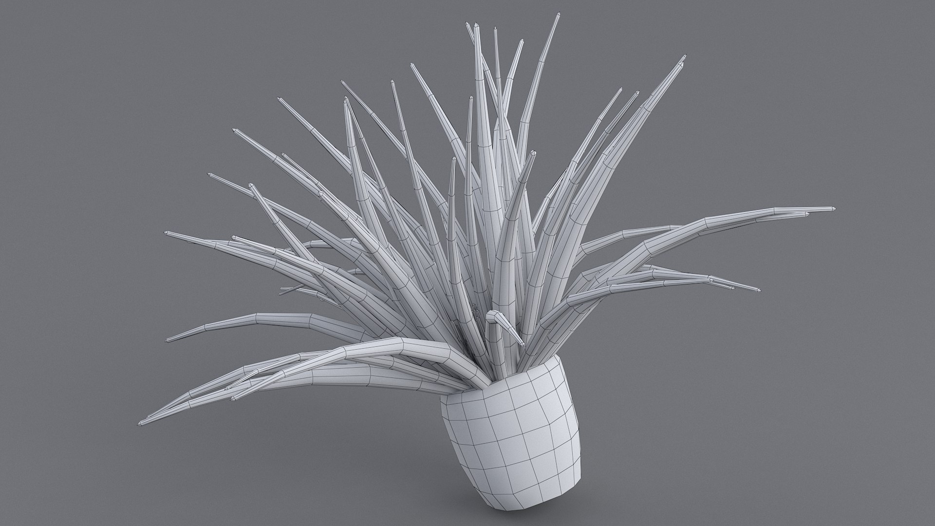 cerianthus coral model https://p.turbosquid.com/ts-thumb/zD/TKzmAG/0J91YqFB/cerianthus_11/jpg/1575363907/1920x1080/fit_q87/0bb19886c8ba6d8a309eedb1a17cfb98e0eff06e/cerianthus_11.jpg