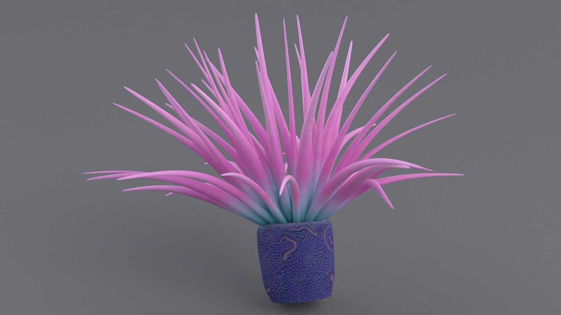 cerianthus coral model https://p.turbosquid.com/ts-thumb/zD/TKzmAG/0e95IWph/cerianthus_05/jpg/1575363907/1920x1080/fit_q87/86a9f3c6ae75bd946793f0ce60d04e6eea627ccd/cerianthus_05.jpg