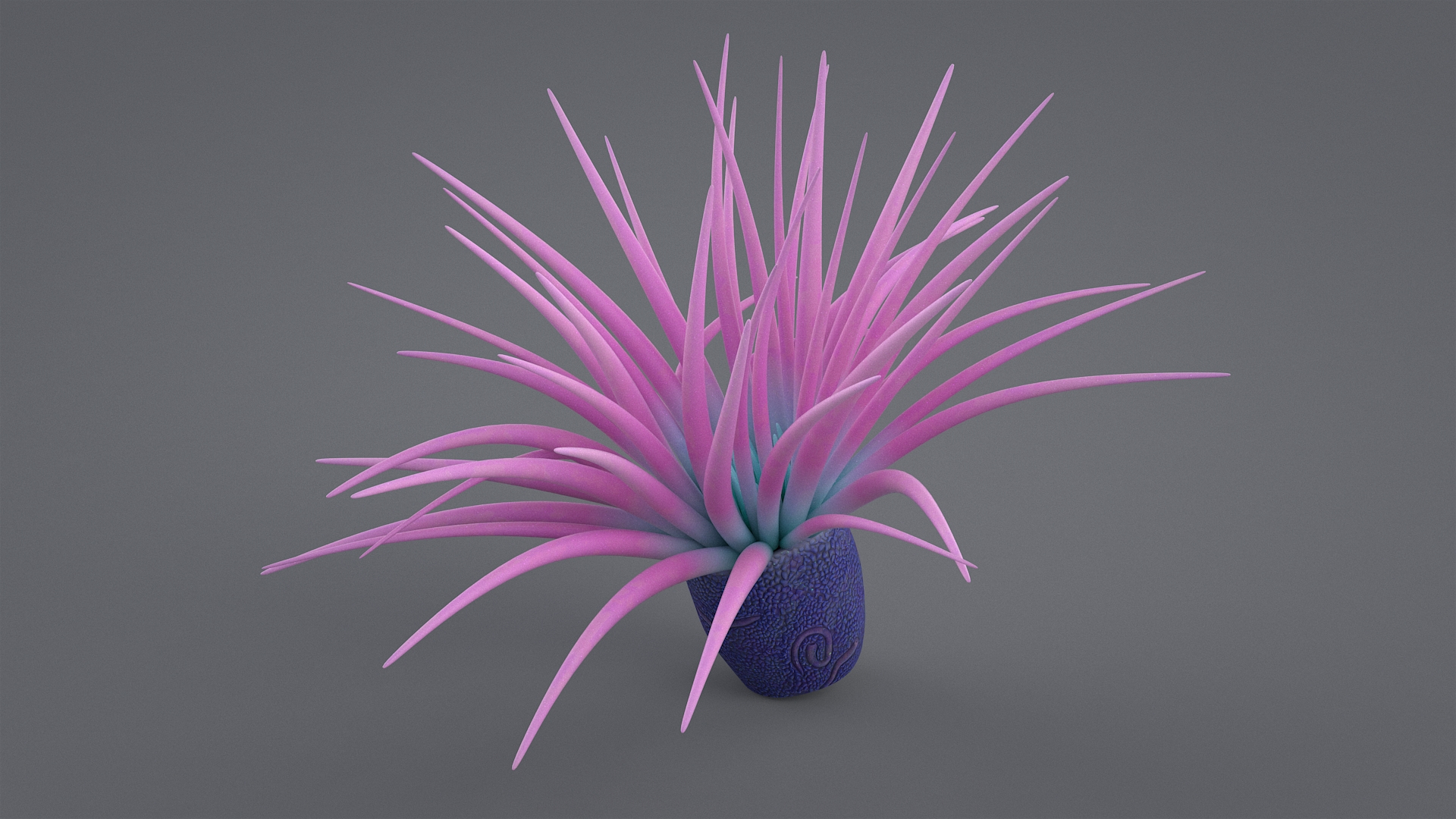 cerianthus coral model https://p.turbosquid.com/ts-thumb/zD/TKzmAG/5EjwMzMd/ceritba/jpg/1575364084/1920x1080/turn_fit_q99/d2c38efb1677f0687a1cb588709e13d10e69973e/ceritba-1.jpg