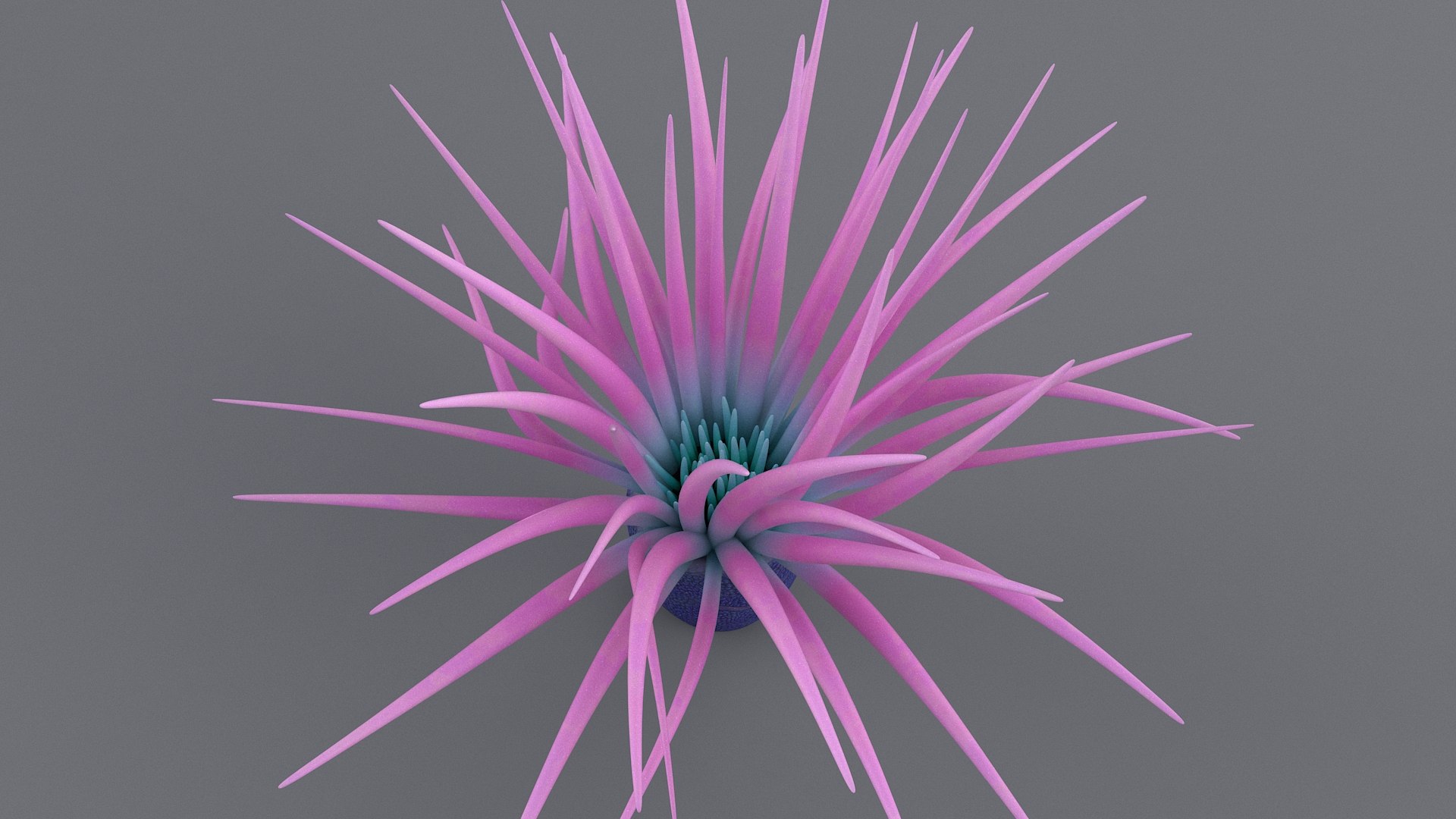 cerianthus coral model https://p.turbosquid.com/ts-thumb/zD/TKzmAG/MeBM8OUs/cerianthus_06/jpg/1575363907/1920x1080/fit_q87/347616da17d9148b47536df9cf4194172c669d43/cerianthus_06.jpg