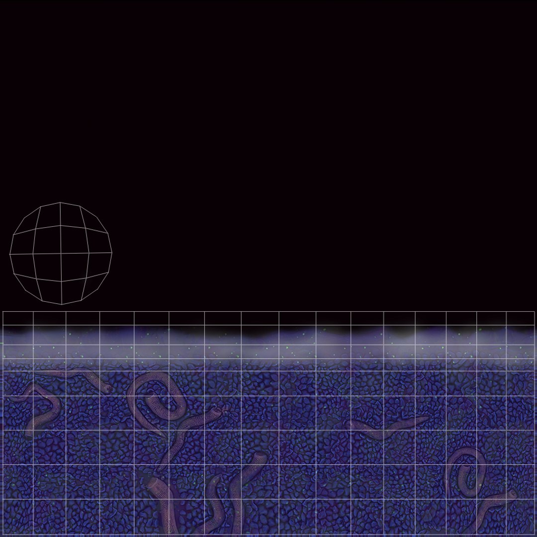 cerianthus coral model https://p.turbosquid.com/ts-thumb/zD/TKzmAG/O9uM5HCK/outuv_22_3/jpg/1575363908/1920x1080/fit_q87/a474810029bbcc545f8d99b32b95ed9696805140/outuv_22_3.jpg