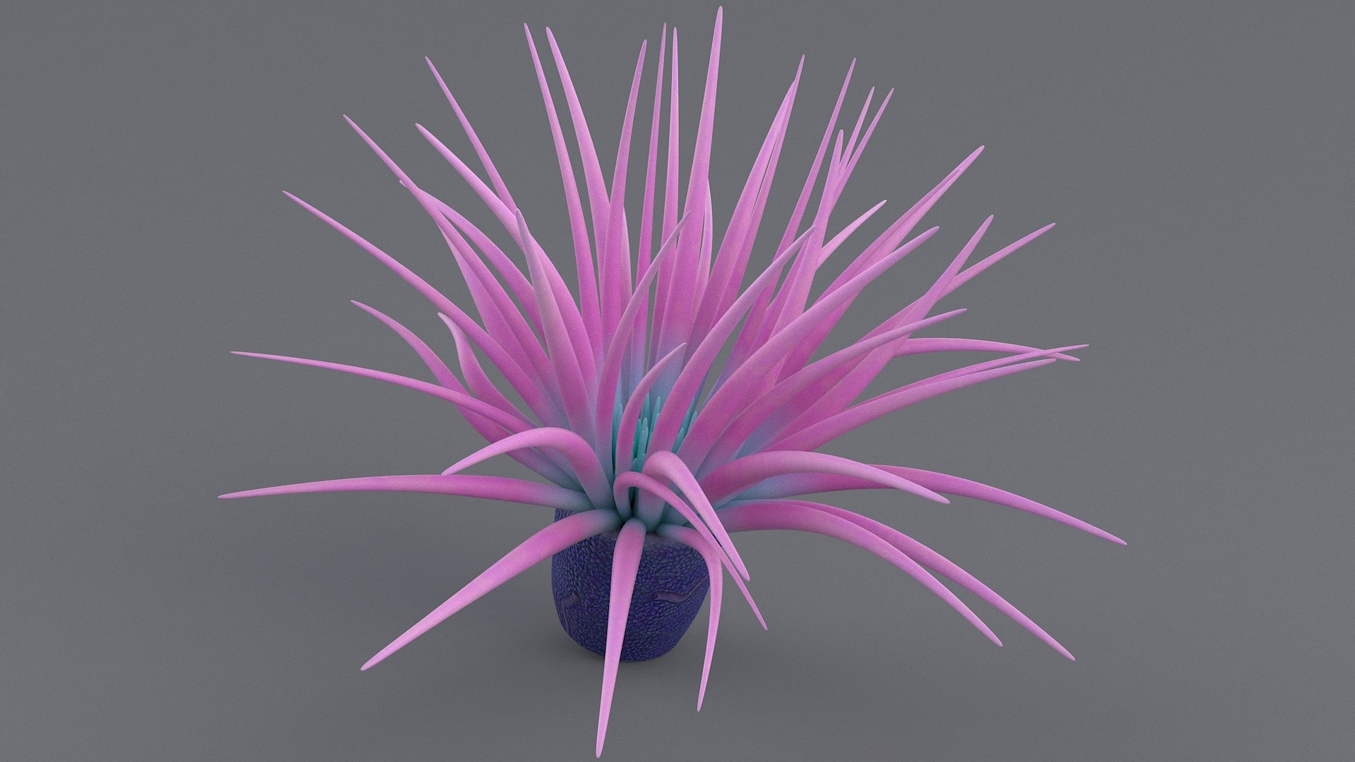 cerianthus coral model https://p.turbosquid.com/ts-thumb/zD/TKzmAG/aVeVdmCS/cerianthus_03/jpg/1575363907/1920x1080/fit_q87/0a77b7f7bf85fdca69c78332234f6324ad706a65/cerianthus_03.jpg