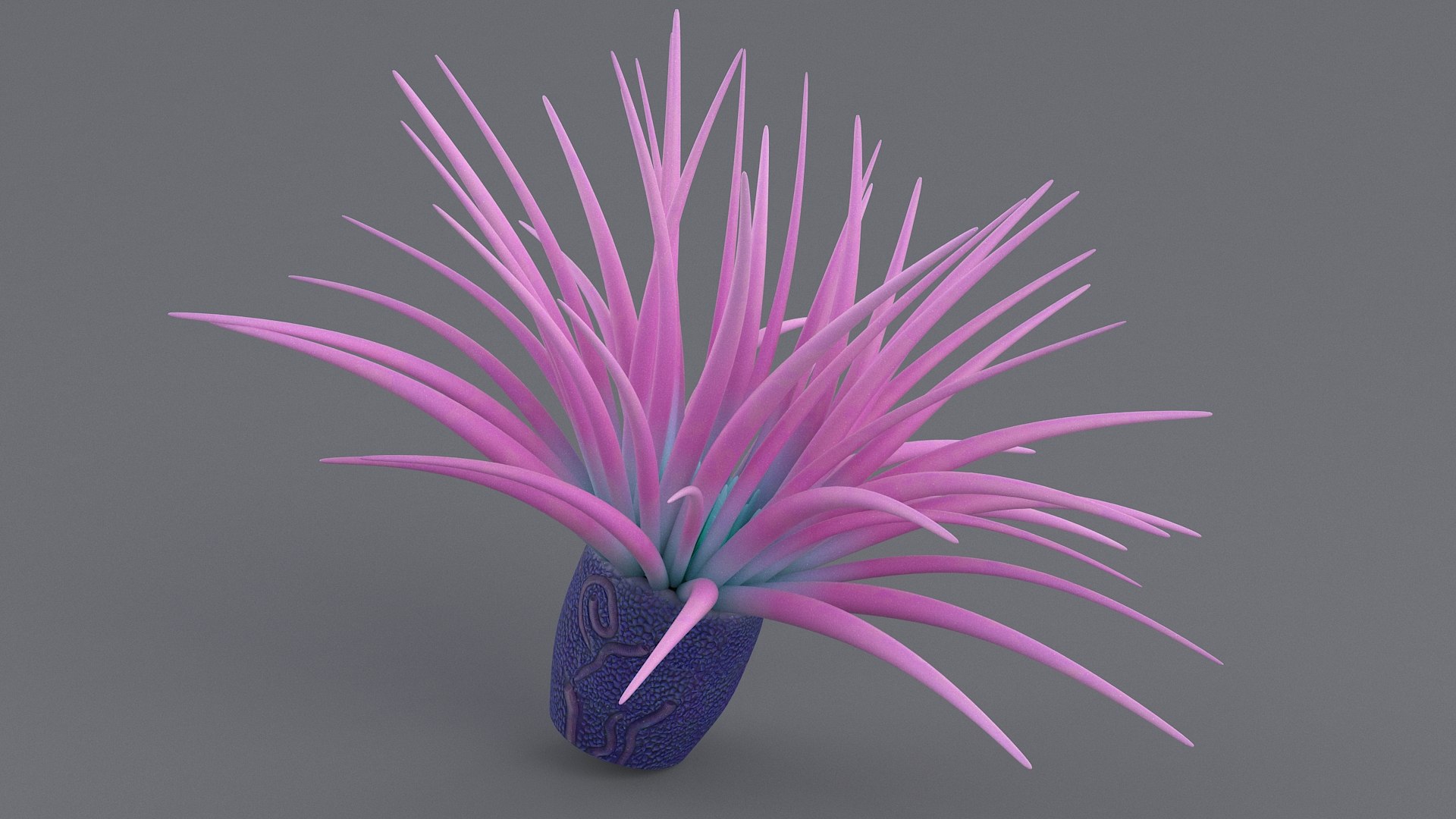 cerianthus coral model https://p.turbosquid.com/ts-thumb/zD/TKzmAG/hrbGPsb5/cerianthus_04/jpg/1575363907/1920x1080/fit_q87/e172995fb3cb6a082f8539d5d87ab04c7c236a62/cerianthus_04.jpg